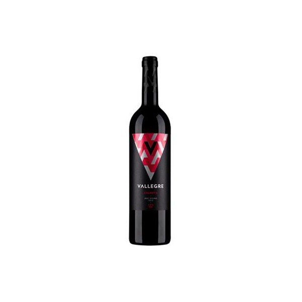 Vallegre Tinto 2021 75cl